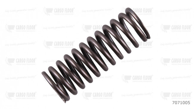 Пружина  цилиндра клапана Cargo Floor  (L.=45 mm)